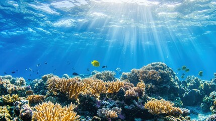 Poster - Underwater Coral Reef Scene with Sunbeams and Fish