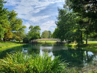 bridge over the pond