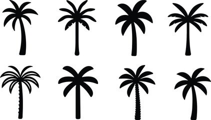 Black palm tree set vector illustration on white background silhouette art black white stock illustration
