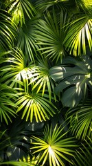 Poster - Lush green palm leaves