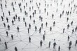 © dendyh7 - Simple people shapes connected by lines created with Generative AI