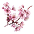 Delicate Cherry Blossom Branch Capturing the Essence of Spring with Beautiful Pink Petals and Lush Green Foliage Blooming in Nature's Glory