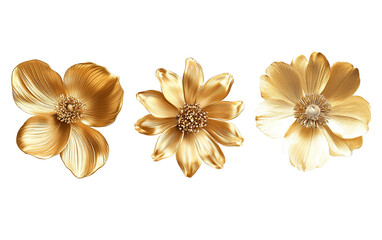 Set gold flower on transparent background, png	