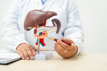  A female doctor works at a desk in the hospital, discussing liver diseases like hepatitis B, cirrhosis, and liver cancer. She emphasizes the risks and connections between these conditions.