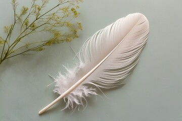 Wall Mural - Ivory Feather Against Soft Natural Background