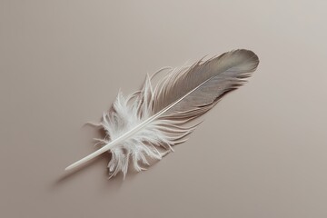 Sticker - Soft Feather Isolated on Clean Minimalist Background