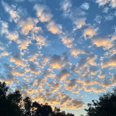 Wall Mural - A beautiful blue sky with scattered white clouds illuminated by the morning sun.