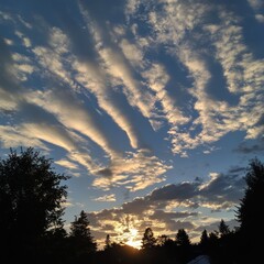 Wall Mural - A beautiful sunset with streaks of clouds in a blue sky.