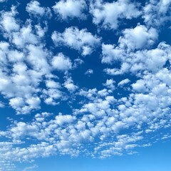 Wall Mural - A bright blue sky with a scattering of fluffy white clouds.