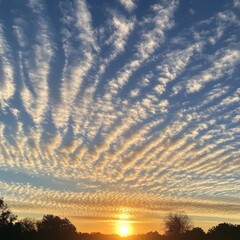 Wall Mural - A bright orange sun sets below a sky filled with feathery clouds.