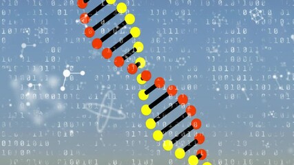 Wall Mural - DNA strand with binary coding and molecular structures, scientific data animation