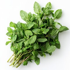 Sticker - A bunch of fresh mint leaves, isolated on a white background.