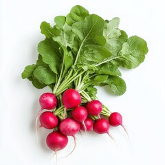 Canvas Print - A bunch of fresh red radishes with green leaves on a white background.