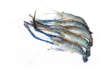 A group of Fresh giant river prawns - Macrobrachium rosenbergii arranged isolated on white background.