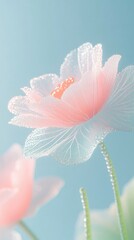 Wall Mural - Delicate Pink Flower with Dew Drops Against a Blue Sky