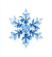 Wall Mural - snowflake