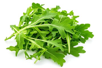 A pile of green fresh rucola or arugula leaf isolated on white background