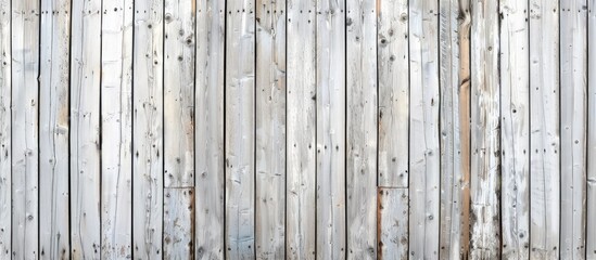 Wall Mural - Wooden shed wall providing a background with white planks suitable for a copy space image