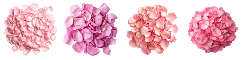 Aufkleber - Clipped path with full depth of field, isolated on white background, rose petals