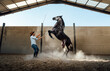© Westend61 - Man training a rearing horse during a dressage session in an indoor arena
