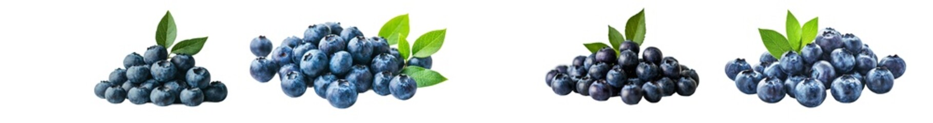 Wall Mural - Full depth of field, isolated blueberry, white background