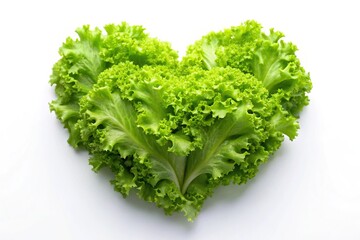 Close-up heart shaped lettuce salad on white background, Green lettuce salad, Healthy lifestyle