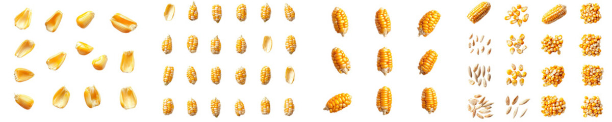 Canvas Print - Isolated white corn seed with full depth of field