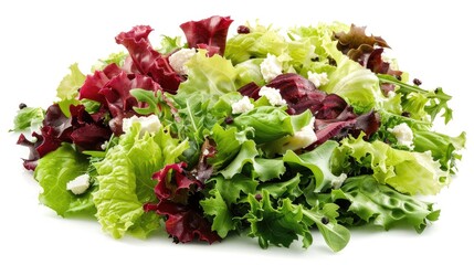 Fresh green salad ruccola different lettuce cottage cheese or feta cheese beetroot and seasoning wit wholegrain bread