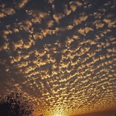 Canvas Print - A picturesque sunset with a sky full of clouds.