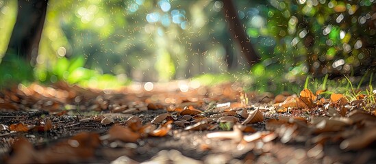 Poster - Blurry outdoor abstract photography with a defocused view of green nature on the ground showcasing brown dry leaves grass and a bokeh effect perfect for a wallpaper background or design with copy spa