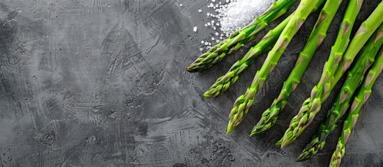 Poster - Top view of fresh green asparagus next to sea salt on a textured grey table with ample space for text in the image