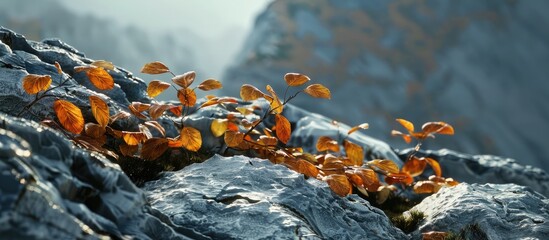 Sticker - Image with copy space featuring dried leaves clinging to a rocky mountain slope