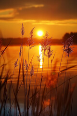 Wall Mural - sunset over the lake, golden tones in nature, beautiful Lithuania landscape