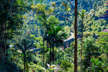 Wall Mural - railway rails and sleepers on the stone bridge in Sri Lanka is the most famous railway in the world, nine arch bridge