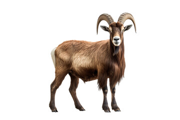 Wall Mural - majestic mountain goat isolated on transparent background for wildlife and nature-themed design proj