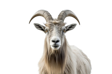 Wall Mural - majestic mountain goat isolated on transparent background for wildlife and nature-themed design proj