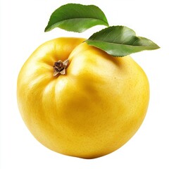 Canvas Print - A single ripe yellow quince with two green leaves on a white background.