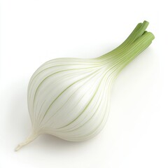 Wall Mural - A single whole white onion with green stalks isolated on a white background.