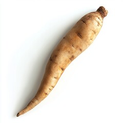 Poster - A single, whole, raw, yacon root on a white background.