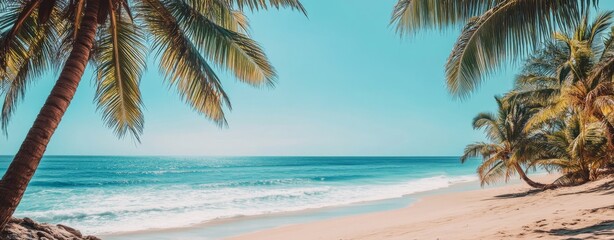 Wall Mural - Beautiful tropical beach with palm trees and blue ocean on a sunny day.