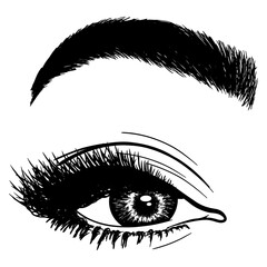 Wall Mural - Illustration with woman's eye, eyelashes and eyebrow. Makeup Look. Tattoo design. Logo for brow bar or lash salon.