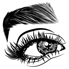 Wall Mural - Illustration with woman's eye, eyelashes and eyebrow. Makeup Look. Tattoo design. Logo for brow bar or lash salon.