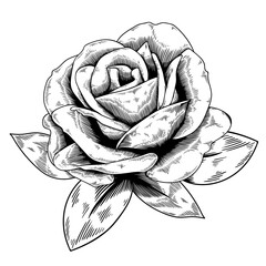 Sticker - Black and white rose sticker design element