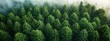 © Arma - An aerial view of lush green forest promoting sustainability and biodiversity, ideal for business environmental initiatives or campaigns. Business with copy space.