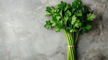 Wall Mural - Fresh Parsley Bunch on Grey Background