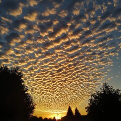 Sticker - A vibrant sunrise paints the sky with a mesmerizing display of clouds, creating a stunning spectacle.