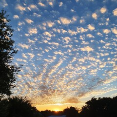 Sticker - A vibrant sunset with a sky full of clouds, casting a warm glow over the landscape.