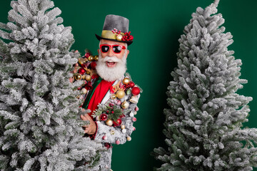 Wall Mural - Portrait of extravagant grandfather behind snowy xmas tree isolated on dark green color background