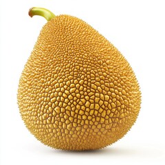 Wall Mural - A whole ripe jackfruit isolated on a white background.