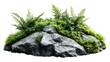 © The Little Hut - Tropical plant fern moss bush tree jungle stone rock isolated on white background with clipping path : Generative AI